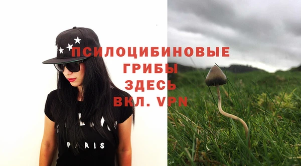 прущая мука Гусиноозёрск