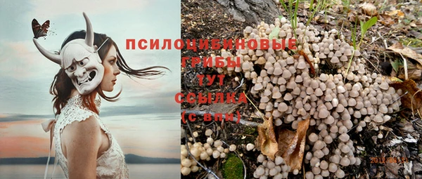 прущая мука Гусиноозёрск